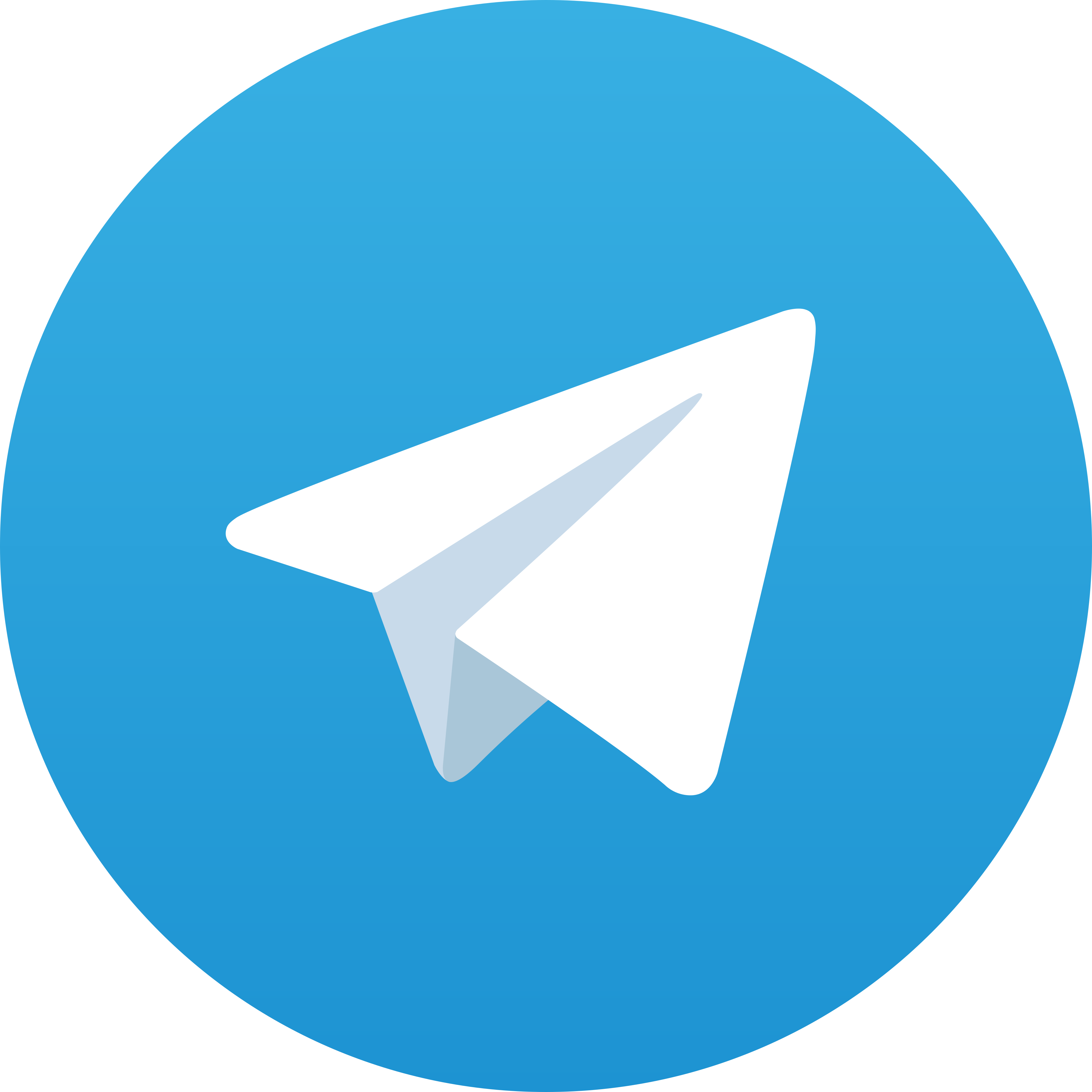 Telegram DOTT77
